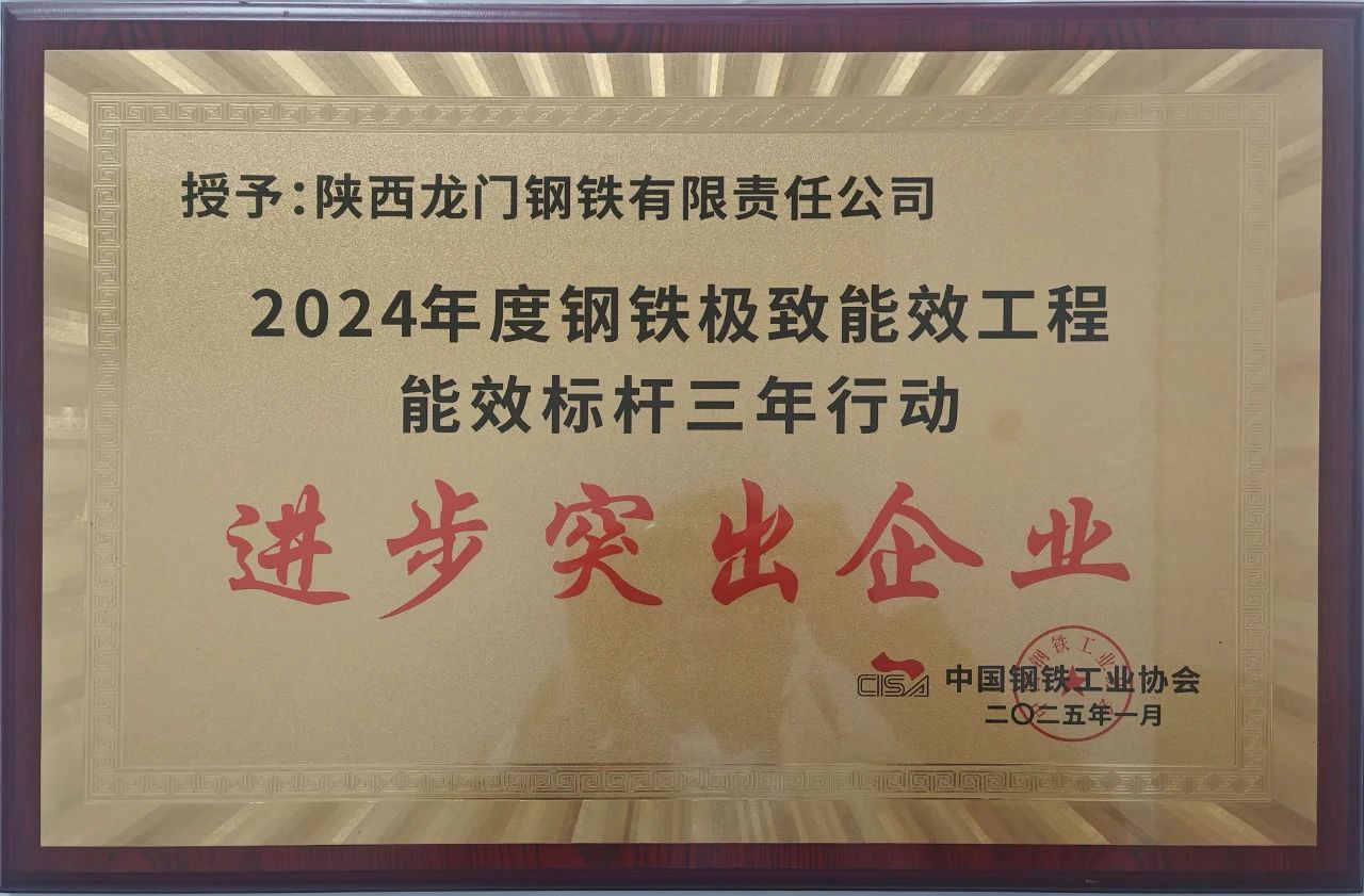 喜訊！龍鋼公司榮獲2024年度鋼鐵極致能效工程能效 標桿三年行動“進步突出企業”