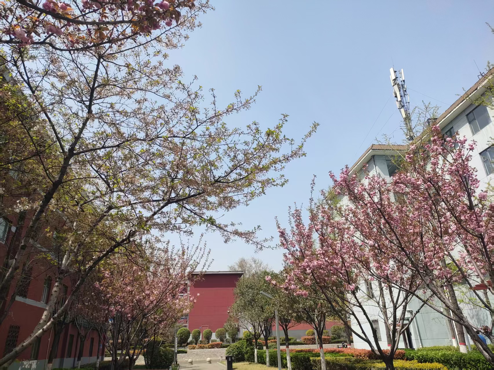 鋼城智變：在時代洪流中筑起綠色長城